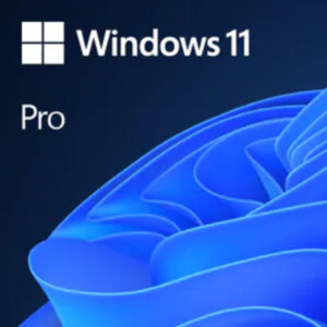 Microsoft Windows 11 Pro 64bit ESD/Retail