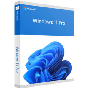 Microsoft Windows 11 Pro 64bit DVD
