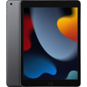 Apple iPad 2021 WiFi + 4G 256GB Grijs