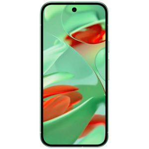 Google Pixel 9 256GB 5G Groen
