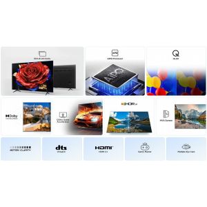 TCL 50P79K (2025)